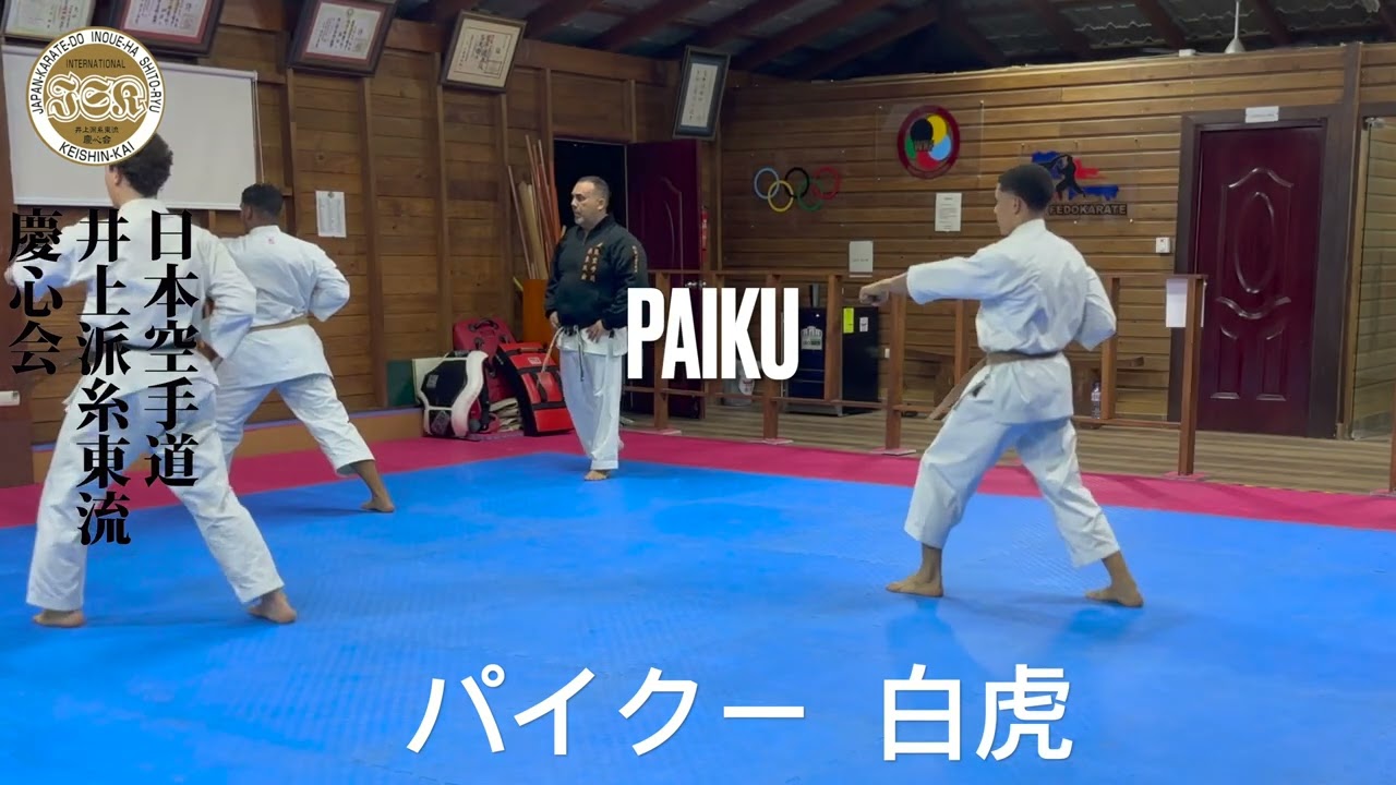 Kata Practice * Paiku  パイクー  白虎