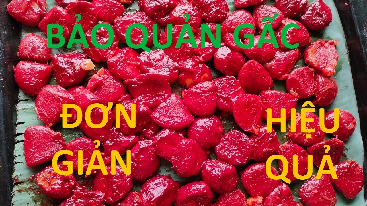BẢO QUẢN GẤC CỰC ĐƠN GIẢN VÀ HIỆU QUẢ