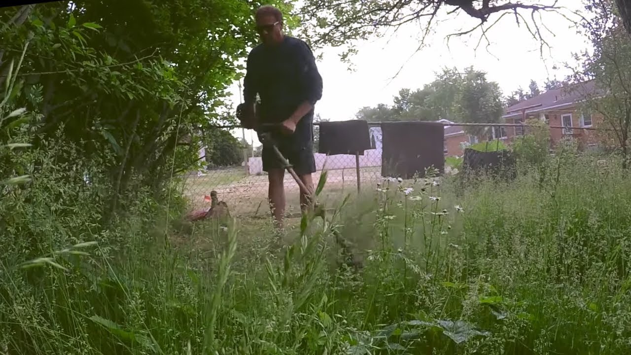 Mowing Overgrown Yard Free to Help out a Single Mom (Oddly Satisfying)