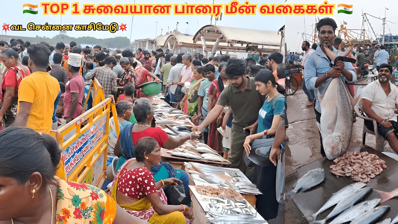 🐠 Tasty Trevally Fish Varities | Kasimedu fish market #trending #kasimedu #chindatripet #viralvideos