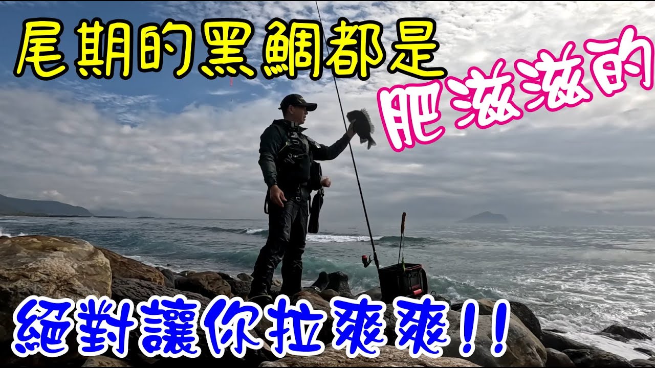 海尾的黑鯛每隻都很肥  228連假 黑鯛不休假 讓你拉爽爽   說好的虱目魚都沒來 #磯釣黑鯛 #黑鯛釣組 #磯釣黑牛