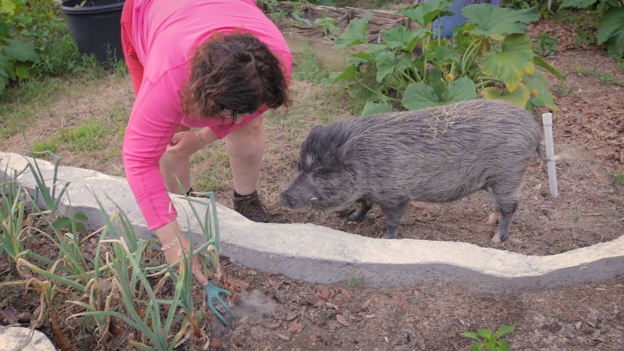 Becky's Vegetable Garden Layout
