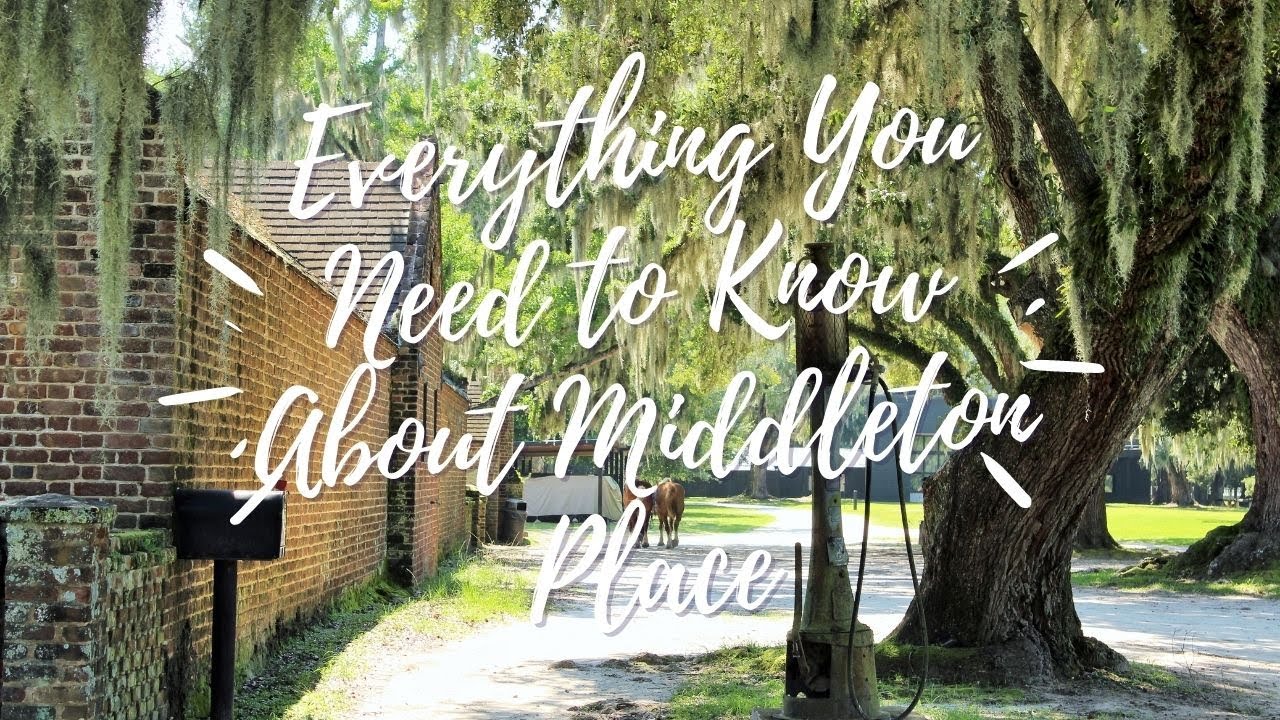 Everything You Need to Know About Middleton Place in Charleston, SC