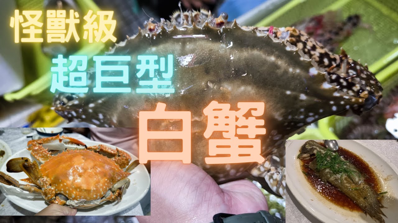 怪獸級超巨型白蟹😍10成滿肉,清蒸金邊方脷👍香煎勁新鮮扁膠,籠仔蒸紅鬚💥再戰蛇口~fishcutting香港海鮮~社長遊街市Seafood