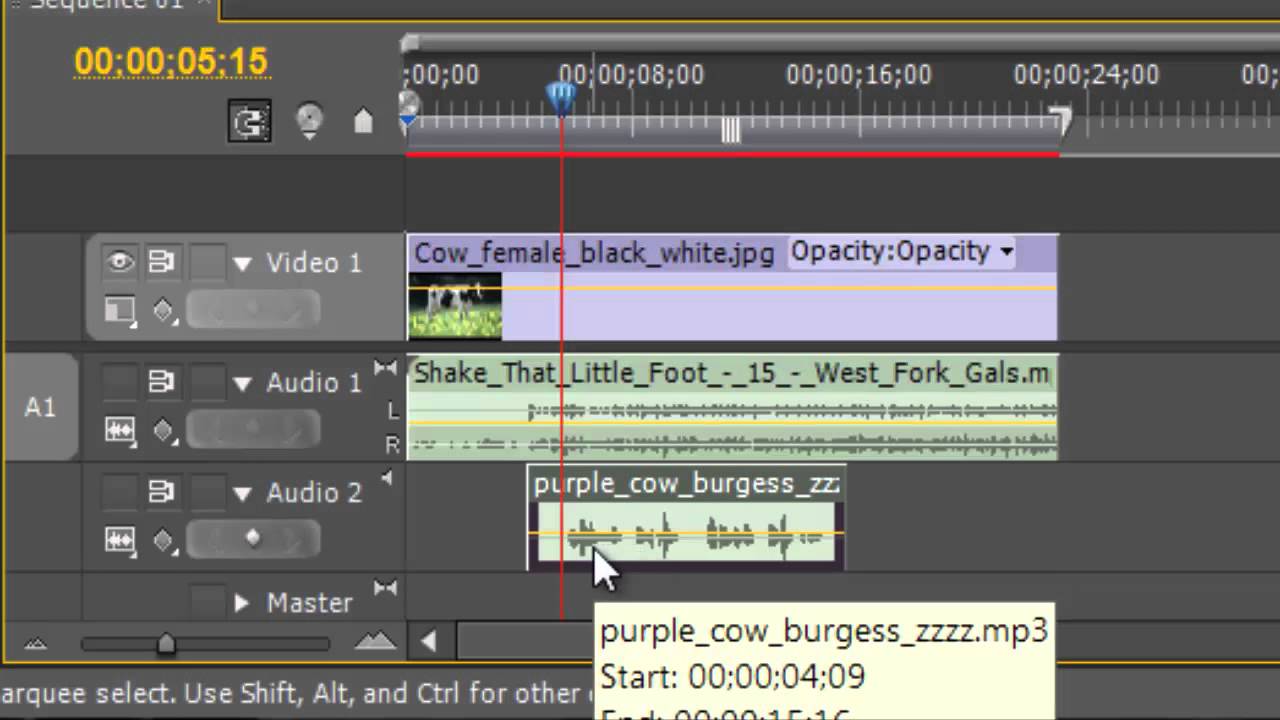 Using Keyframes in Adobe Premiere Pro to Adjust Volume