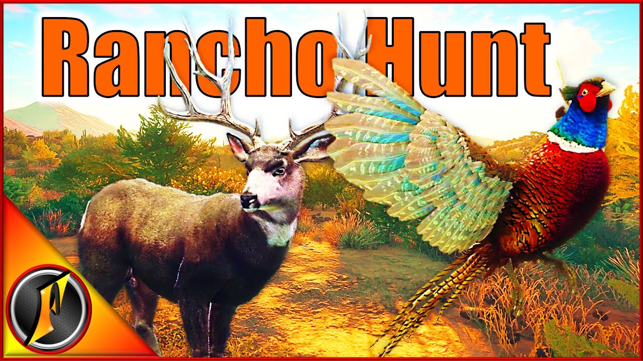 Hunting Pheasants, Mule Deer, & More on Rancho Del Arroyo!