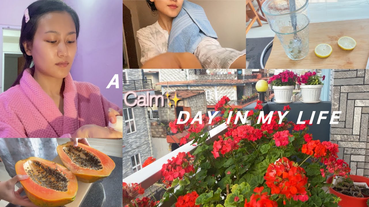 A cozy day in my life ✨🎀 | Home vlog | slow living, cooking, self care, walking, harvesting 🍀🥘🥔|SAM|
