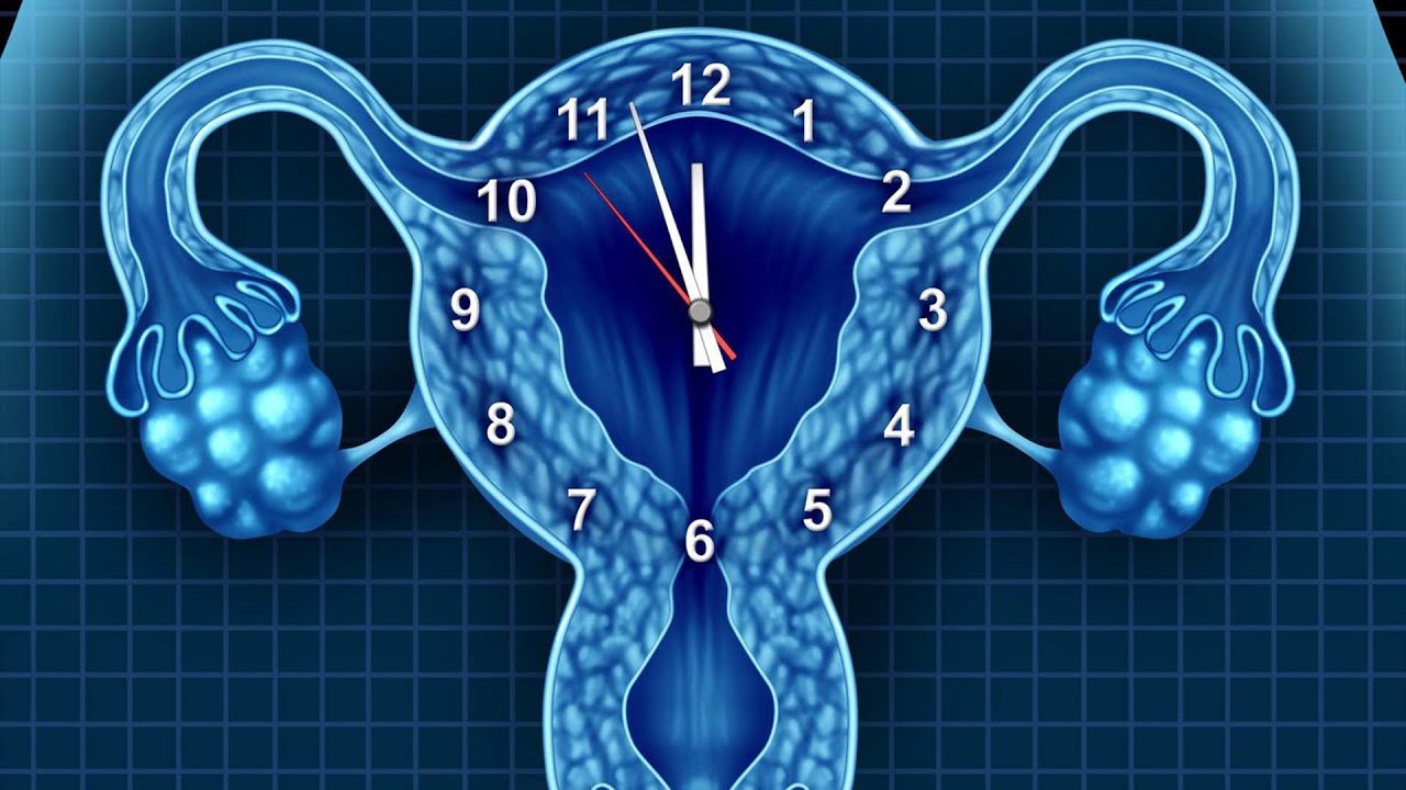 Menopausia - Dra. Paula Cortiñas