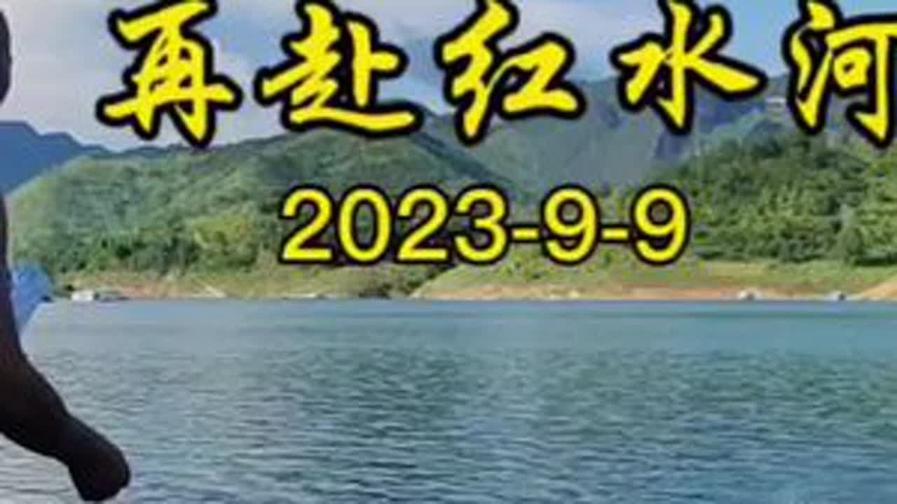 2023.9.9再赴红水河钓鱼#红水河钓鱼 #红水河#钓鱼的乐趣只有钓鱼人懂