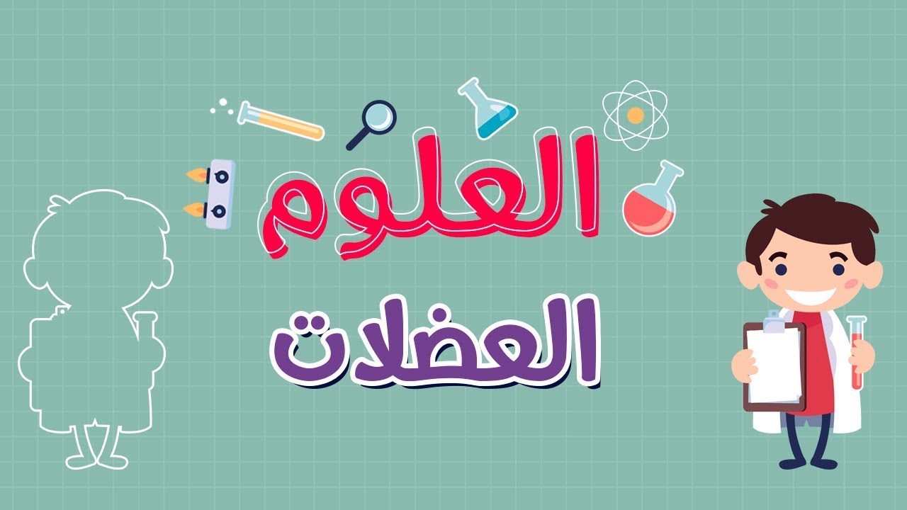 العلوم | العضلات
