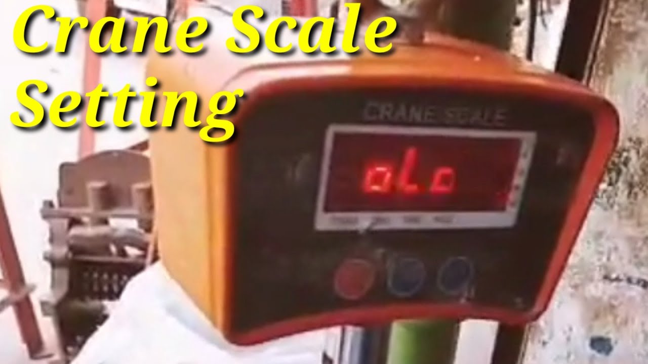 Калибровочные крановые весы 500 кг от Care International Scale в Хибди | Подвесные весы
