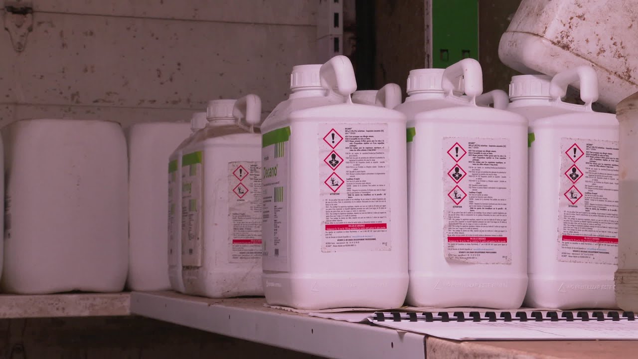 Agriculture et pesticides : le glyphosate a la cote en Charente-Maritime
