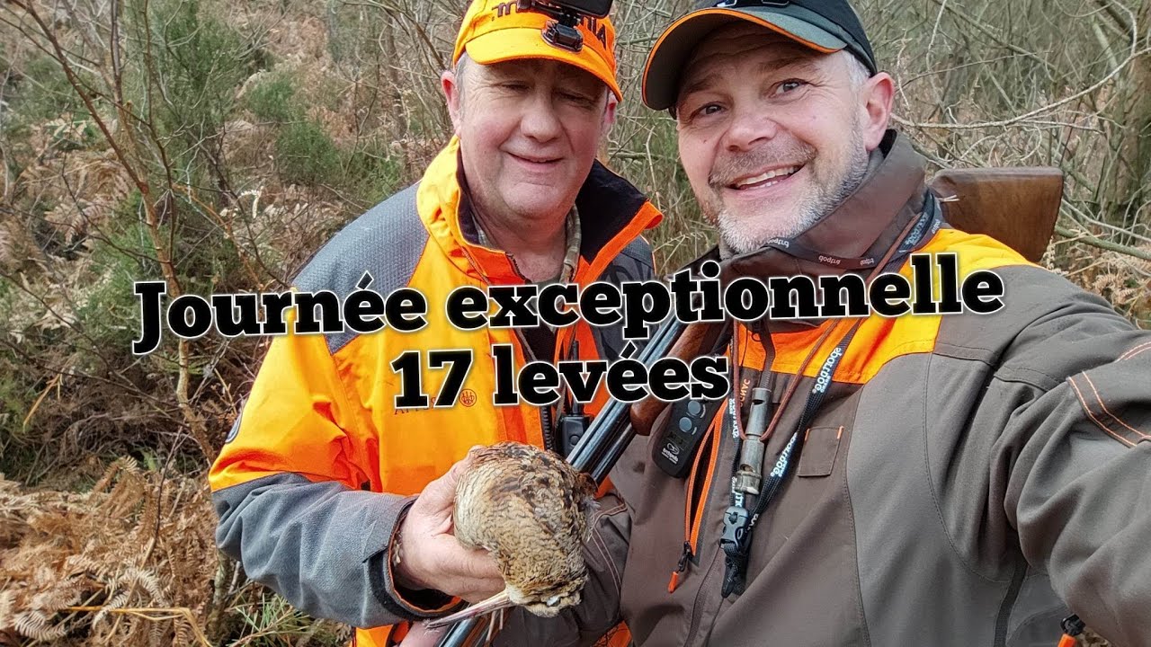 CHASSE à la Bécasse en Normandie / Journée exceptionnelle
