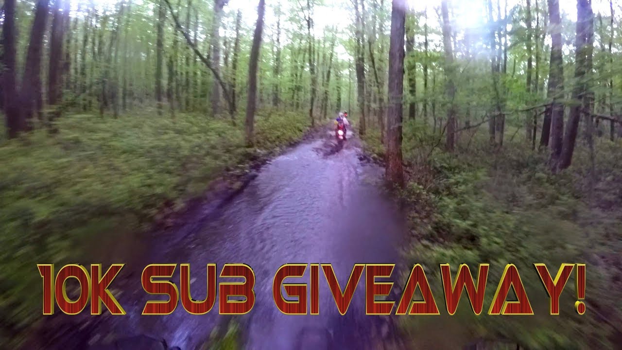 Bald Eagle State Forest - 10K Sub Giveaway