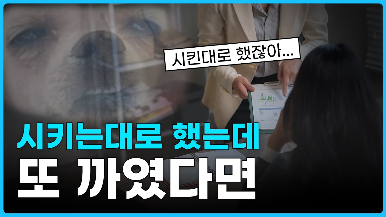 시키는 일만 하면 인정 못 받습니다 ㅣ 팀장이 원하는 건 따로 있어요