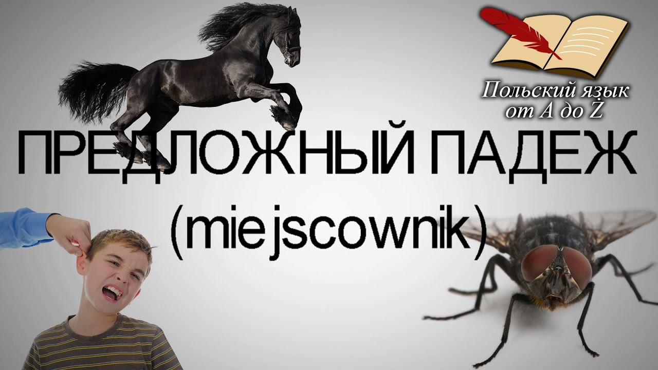 Польский язык от А ДО Ż - Предложный падеж (13 урок)