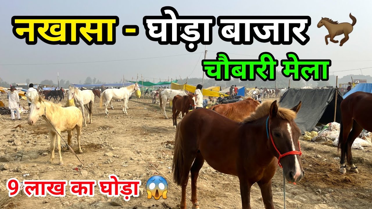 चौबारी नखासा का मेला 🐎 || घोड़ा बाजार चौबारी मेला || बरेली रामगंगा का मेला 2024 🎡