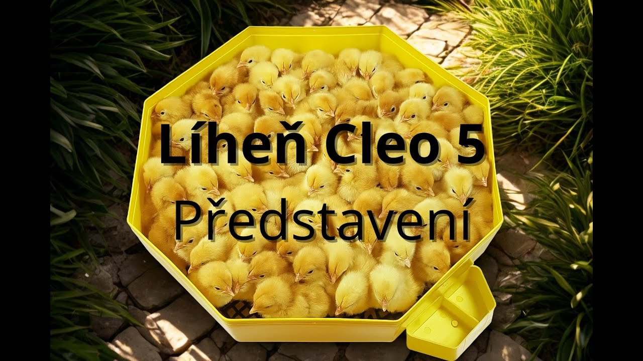 Líheň Cleo 5 🐣 | Recenze