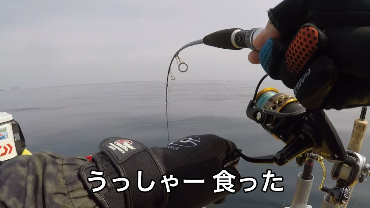 【2馬力ボート釣り】4月上旬 若狭湾釣果速報 のっこみノッコミ乗っ込み真鯛と○メーターサワラ‼️