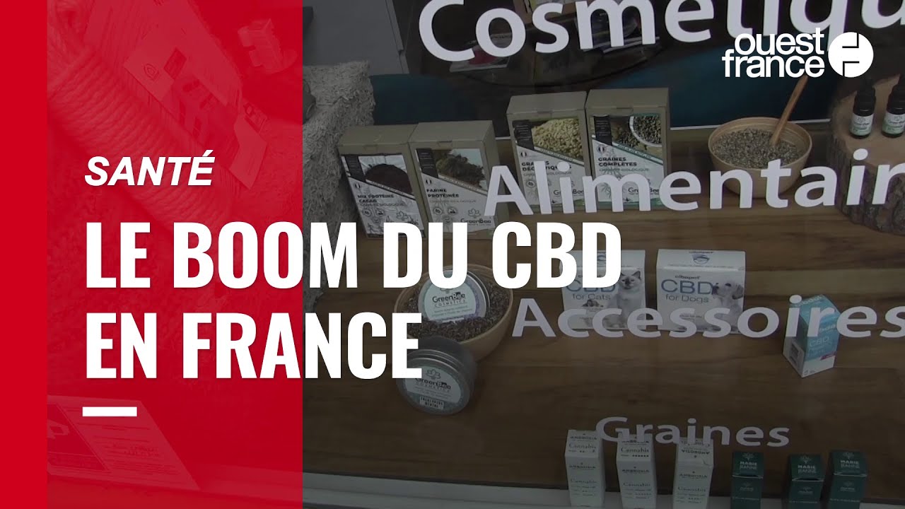 Immersion dans une boutique de CBD &agrave; Rennes