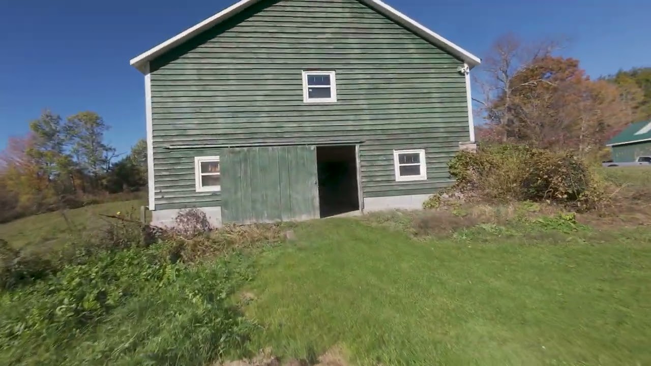 Saturday Barn