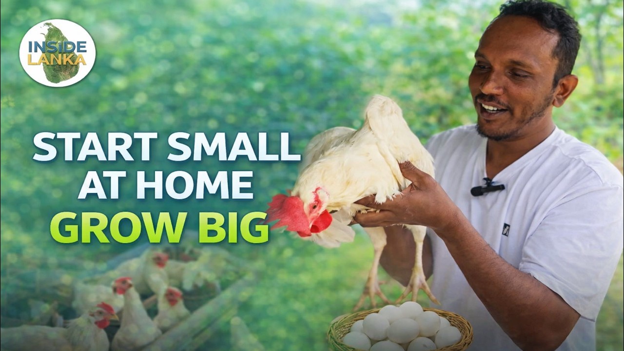 Small Poultry Farm Sri Lanka😍 | Egg Business Vlog | Egg Business Ideas 2026