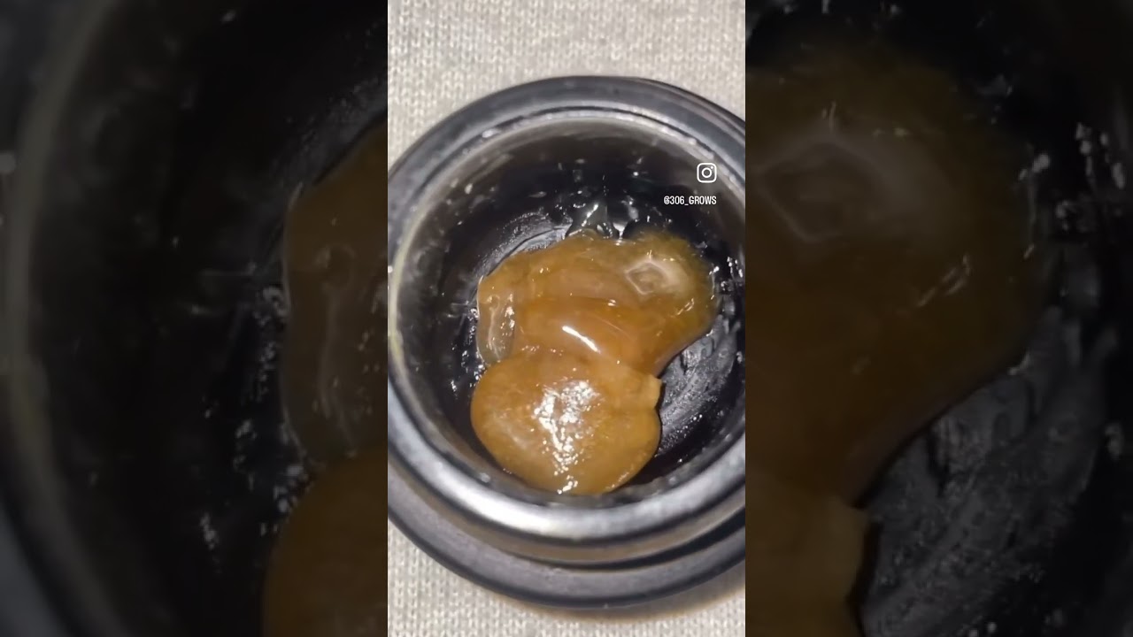 Nugsmasher mini #710
