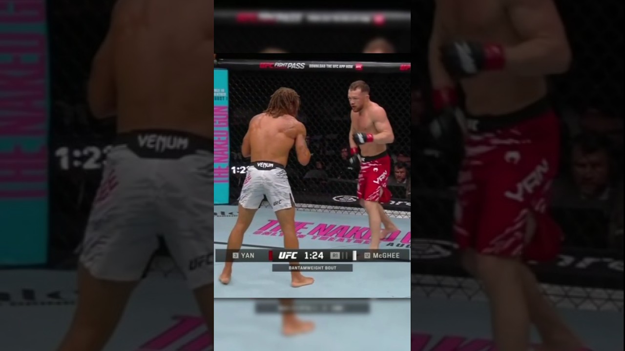 VINTAGE PETR YAN BOXING 🥊YAN VS MCGHEE #ufc #ufcfightnight #petryan #fight #marcusmcghee #mma