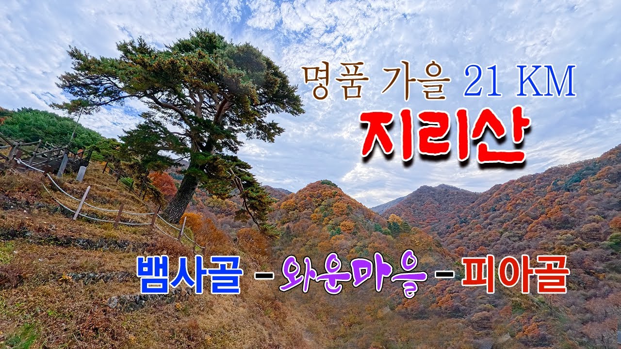 명품가을은 이곳 지리산 뱀사골 와운마을 피아골까지 가을의 진수를 만났습니다           #지리산단풍  #와운마을단풍  #뱀사골단풍  #피아골단풍