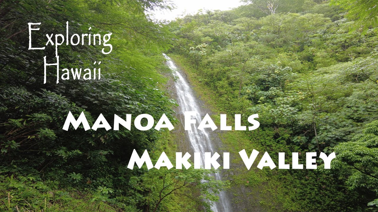 Exploring Hawaii | Port of Call Honolulu | Manoa Falls