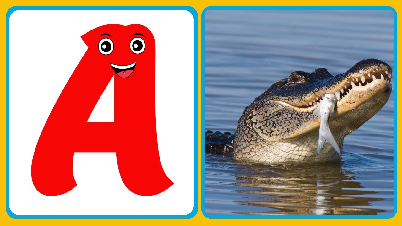 Learn French | L’Alphabet français de A à Z | ABC Learning Video | Vocabulaire français