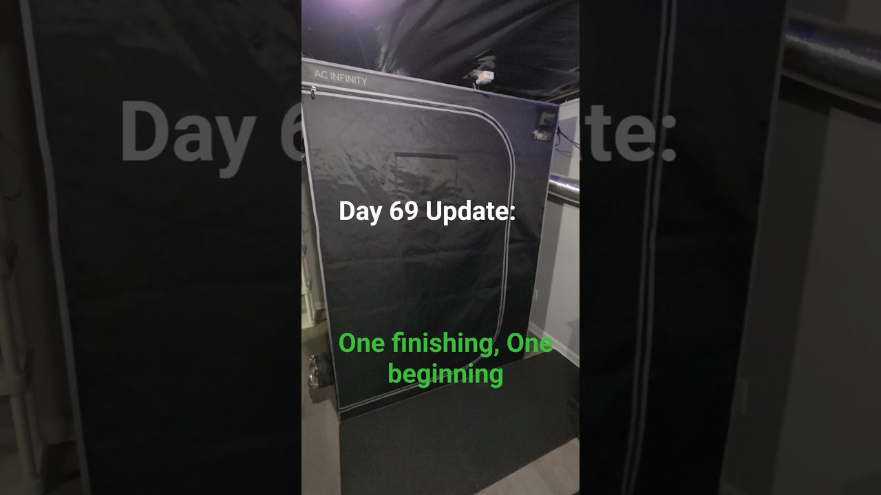 Day 69 🌱 One finishing. One forming.