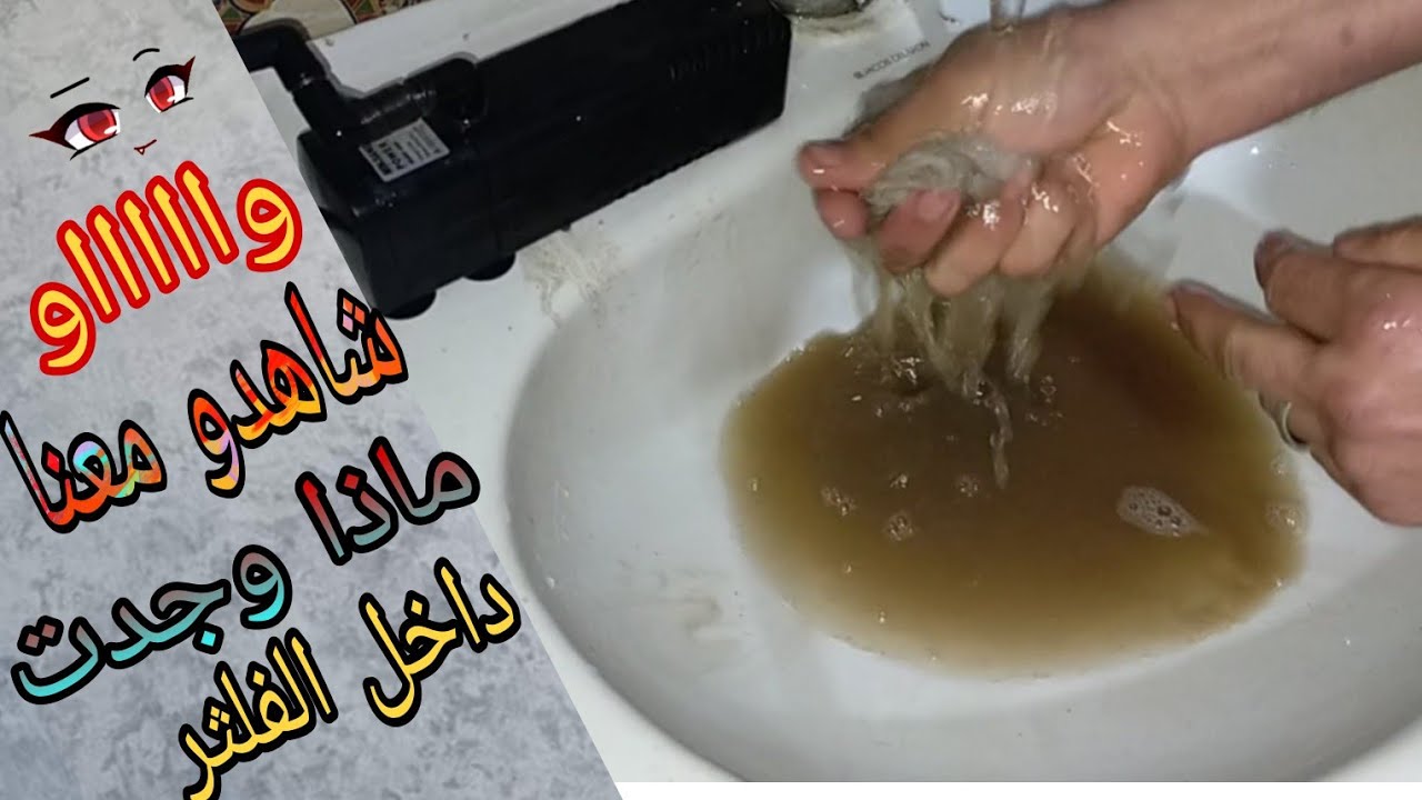 طريقة فلثرت مياه حوض الأسماك لإزالة الظباب الى ماء صافي HD