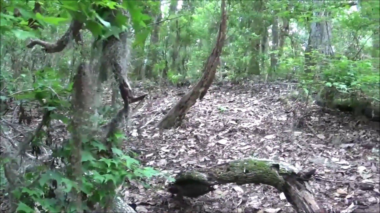 Old Indian Sand Mound at the Ocklawaha River