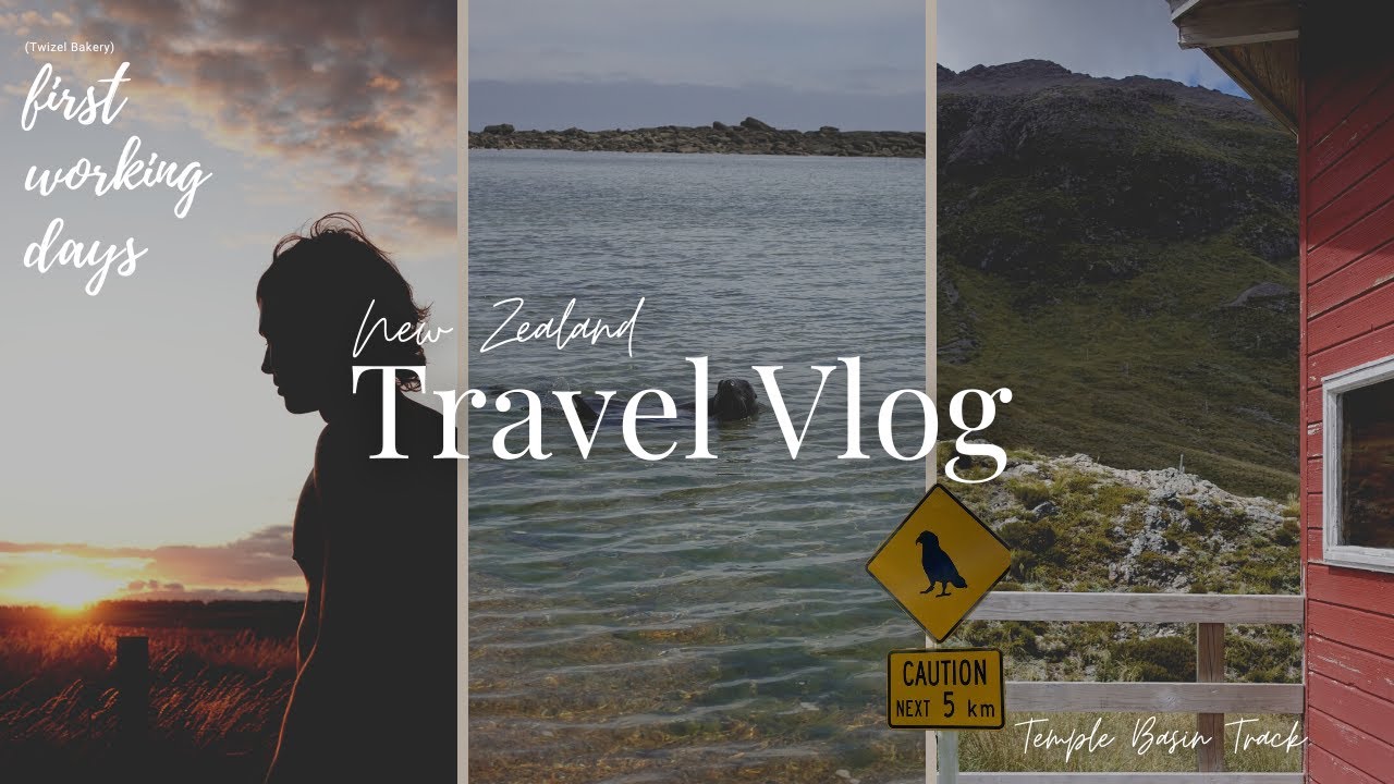 Travel Vlog New Zealand South Island - Arthurs Pass / Seal Colony / Bike Tour at Lake Tekapo & WORK