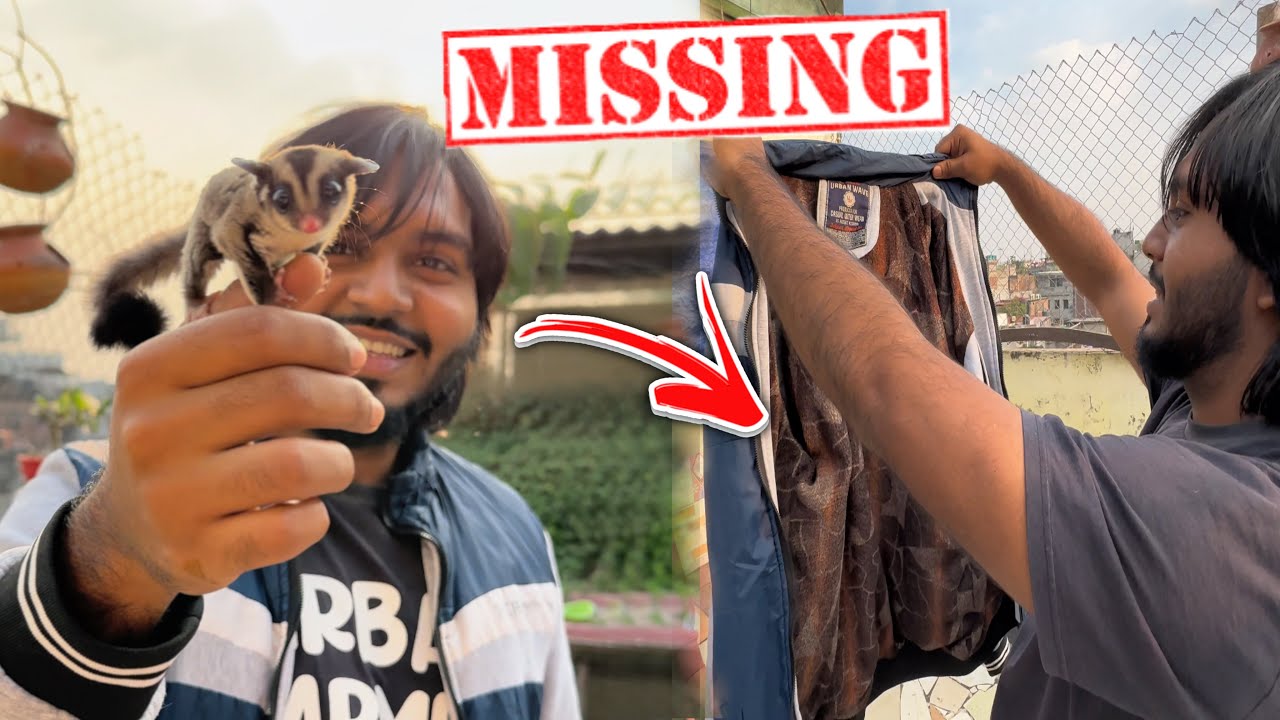 ছাদে Sugar Glider এনেছি, এসেই হারিয়ে গেছে  l Doggo Sage l Pets & Animals