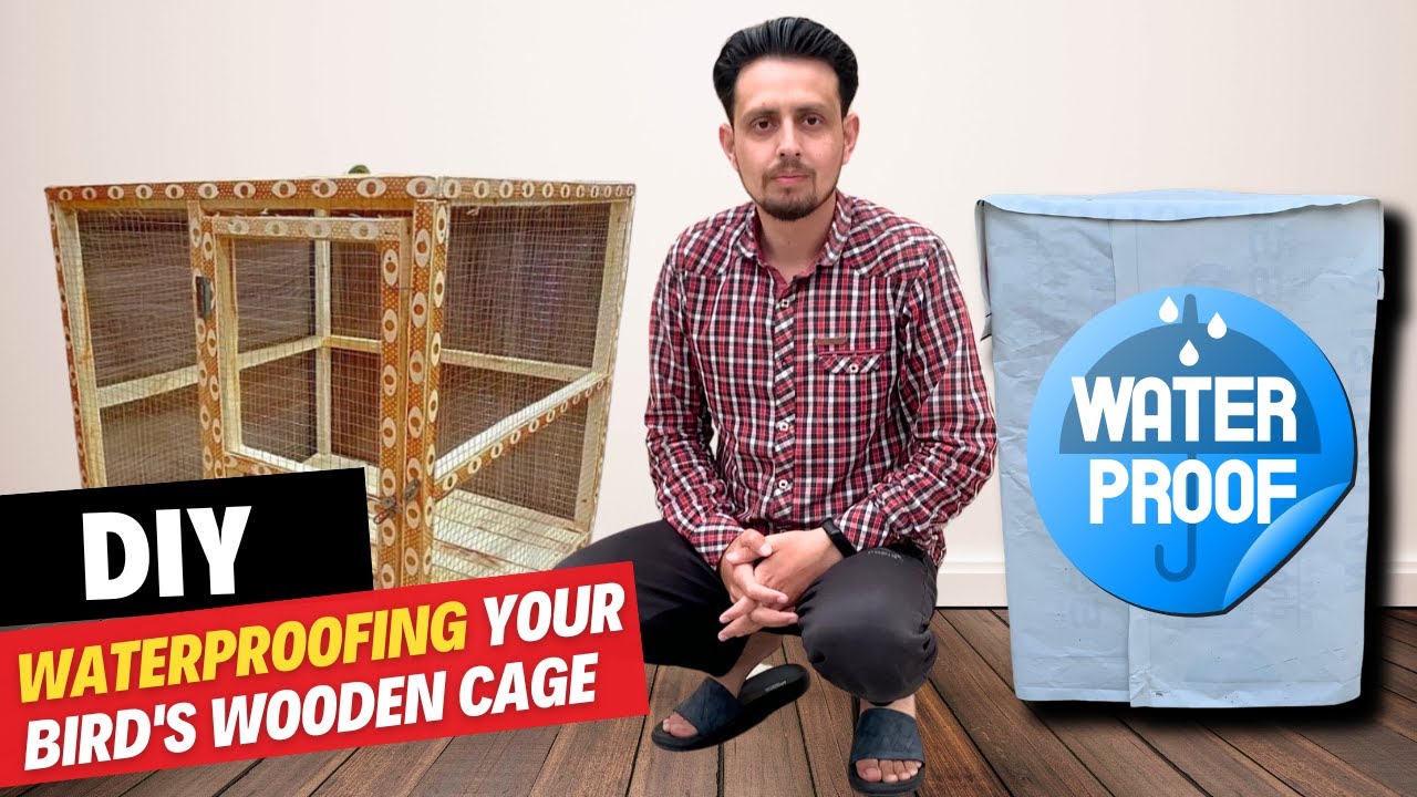 Waterproofing Your Bird's Wooden Cage: A How-To Guide