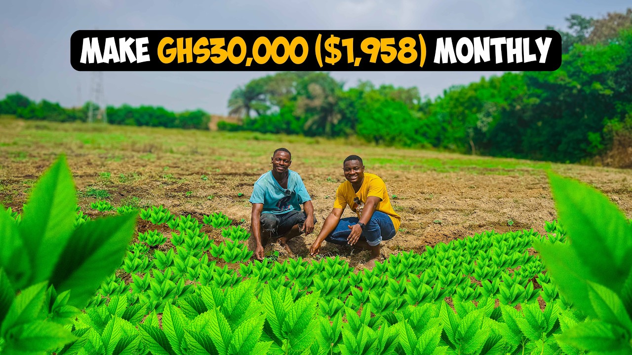 The Untapped Farming Business Making GHS30,000+($1,958) Monthly!