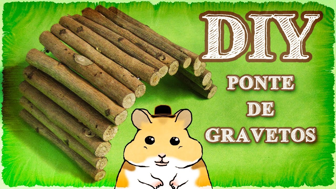 Como fazer uma ponte de gravetos para hamster
