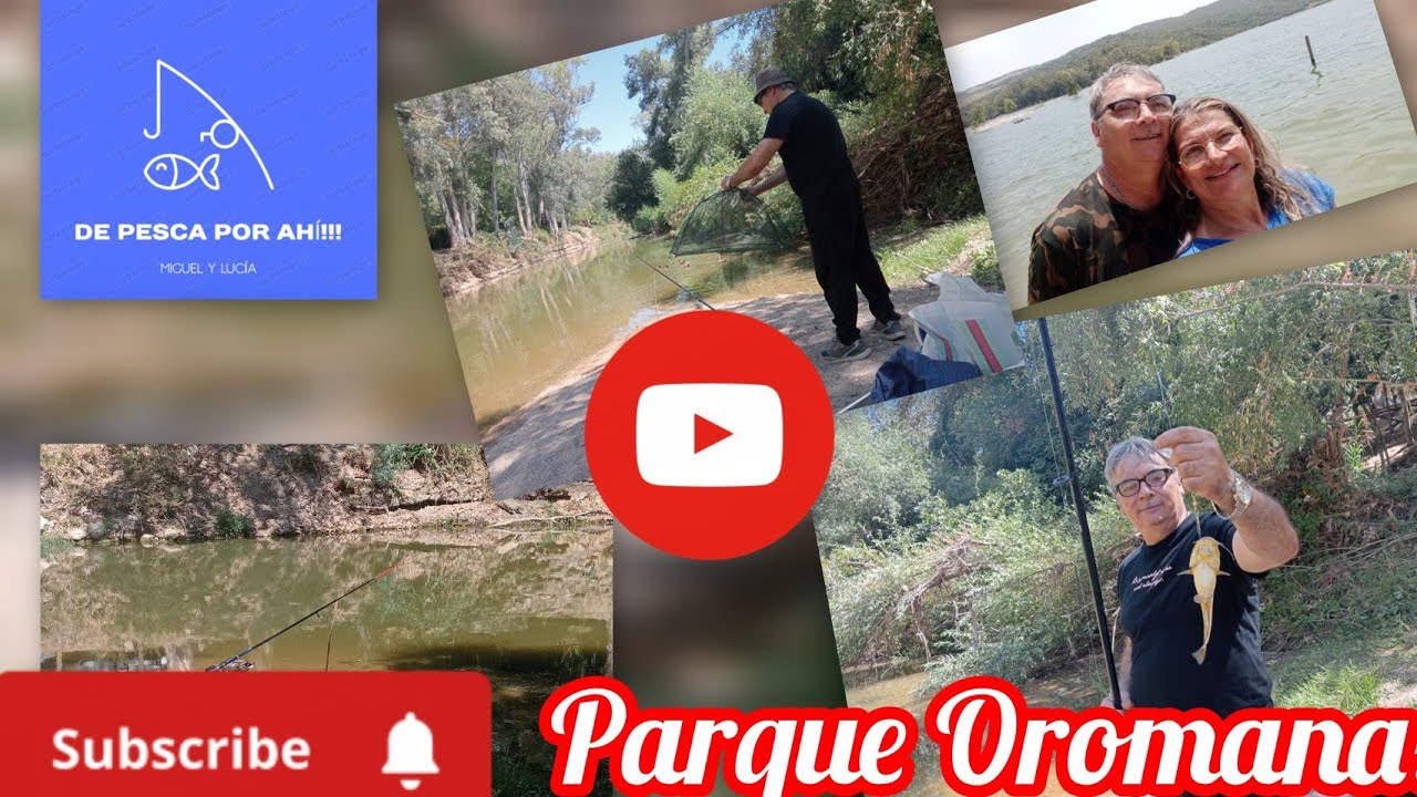 DE PESCA EN PARQUE OROMANA,CON LOS PATOS ALREDEDOR 🤗🎣🦆🌴🌞#fishing #pescaurbana #pescaenoromana