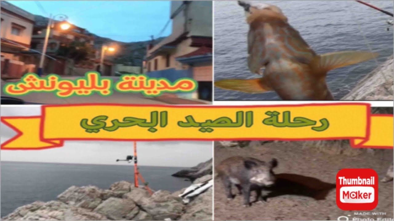 رحلة صيد الأسماك مدينة بليونش (جبل موسى) ومغمرات مشوقة