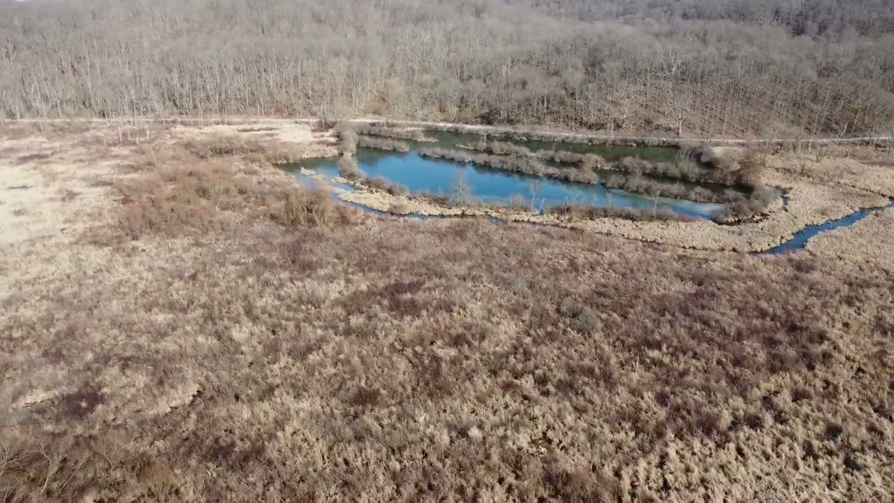 DJI 0265