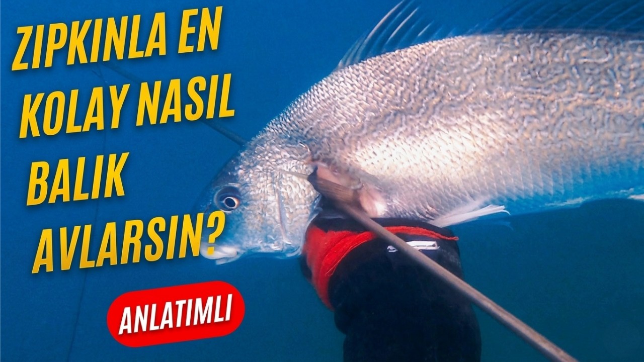 Zıpkınla Kıyıda En Kolay Nasıl Balık Avlanır?