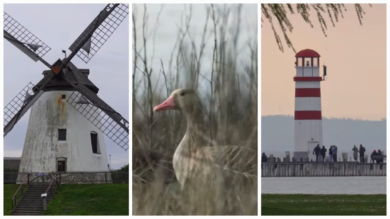 Neusiedlersee I Illmitz, AT - Lively And Springy l UNESCO World Heritage Site