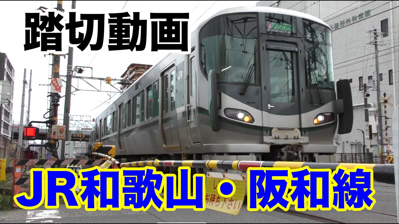 【踏切】JR和歌山線・阪和線【鉄道】Railroad crossing Wakayama Japan part 24