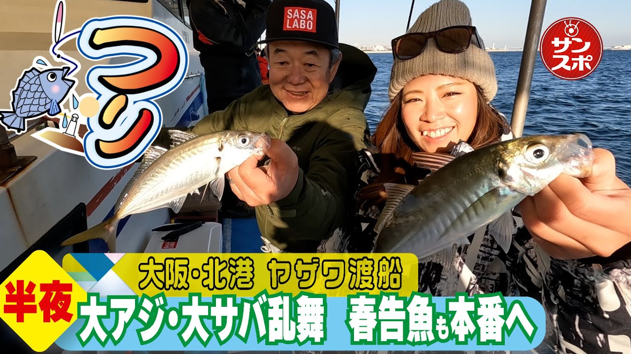 【35㌢デカアジ来た！】サンスポでおなじみのフッチーが兵庫・神戸沖で半夜のアジ、メバル釣りに挑戦しました！