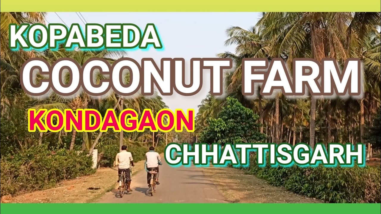 Coconut Farm, #Kopabeda, #Kondagaon | Farm-cum-Techno Park for #Coconut | #Kondagaon, #Chhattisgarh