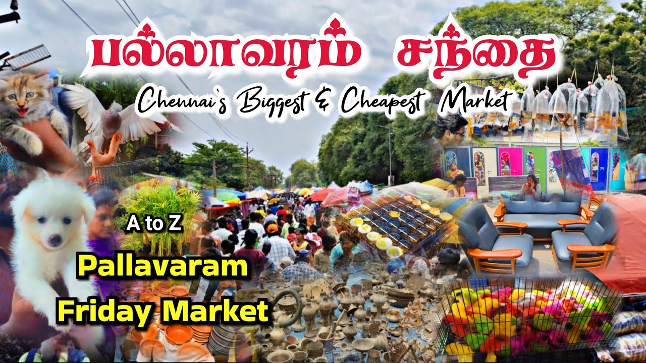 பல்லாவரம் வெள்ளிக்கிழமை சந்தை || Pallavaram Friday Market #chennai #pallavaram #market #fridaymarket