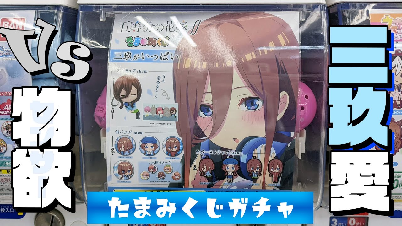 勝るのは推し愛か？物欲センサーか？！五等分の花嫁∬ たまみくじ 三玖がいっぱいガチャ全種コンプリートまで回してみた