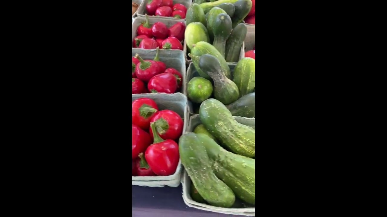 Plant Based Adventure ​⁠& Jane Esselstyn​⁠-We lost over 140lbs!